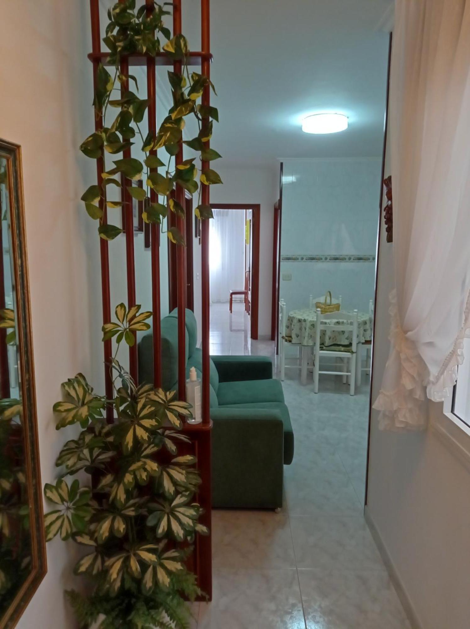 Acogedor Apartamento Centrico Apartment O Grove Exterior photo